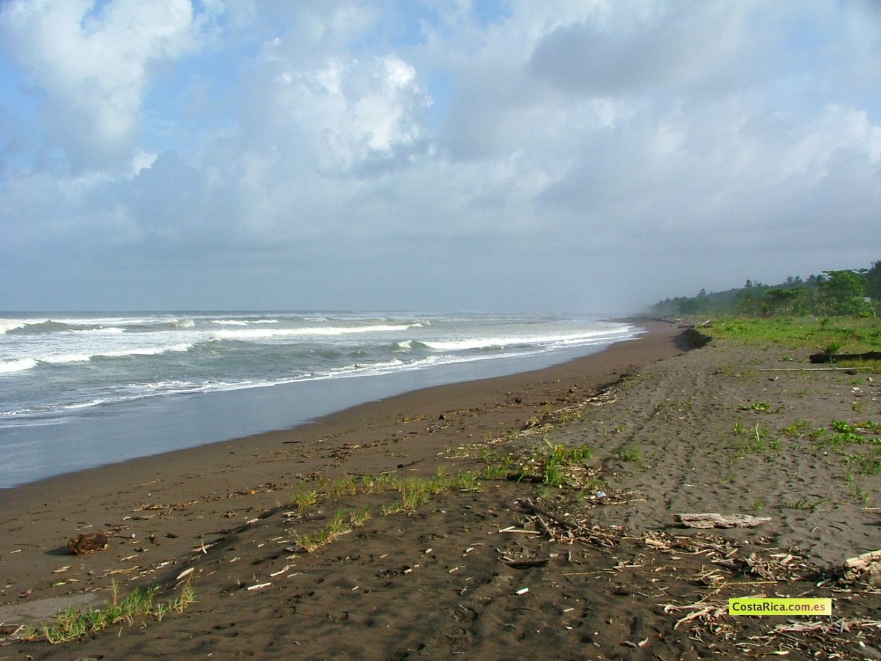 Mar Caribe desde Tortuguero